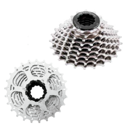 Pacha Cassette On Trail...