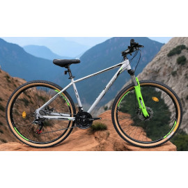 BICICLETA PROFIT RIN 29...