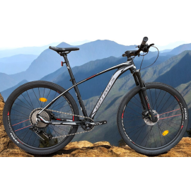 Bicicleta Optimus Aquila en...