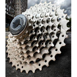 Pacha Cassette On Trail Mtb...
