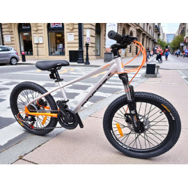 Bicicleta Profit Jasper Rin 20 X3 Freno Disco 21v