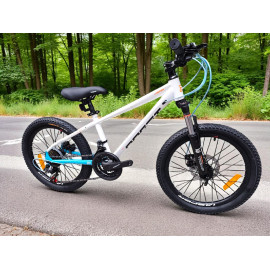 Bicicleta Profit Jasper Rin 20 X3 Freno Disco 21v